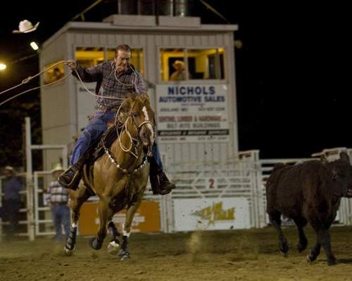 Live Action Of Cowboy Roping From Horseback At Ashland Cattleman Days Rodeo